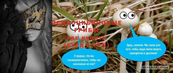 крисы Алексеевка