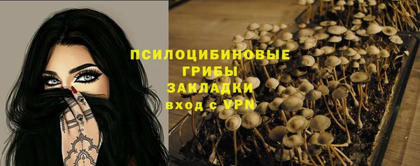 дмт Алексин